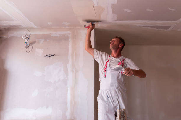 Best Wallpaper Removal and Painting  in Mead Valley, CA